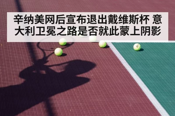 辛纳美网后宣布退出戴维斯杯 意大利卫冕之路是否就此蒙上阴影